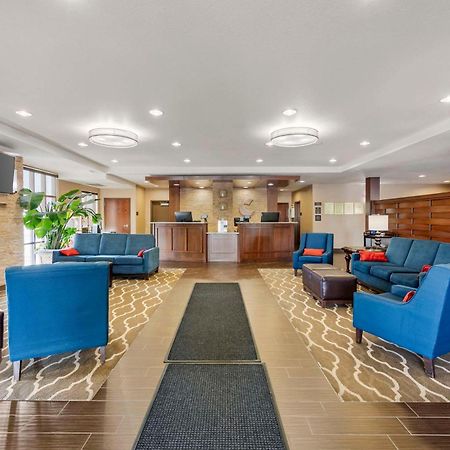 שאיין Comfort Inn & Suites מראה חיצוני תמונה