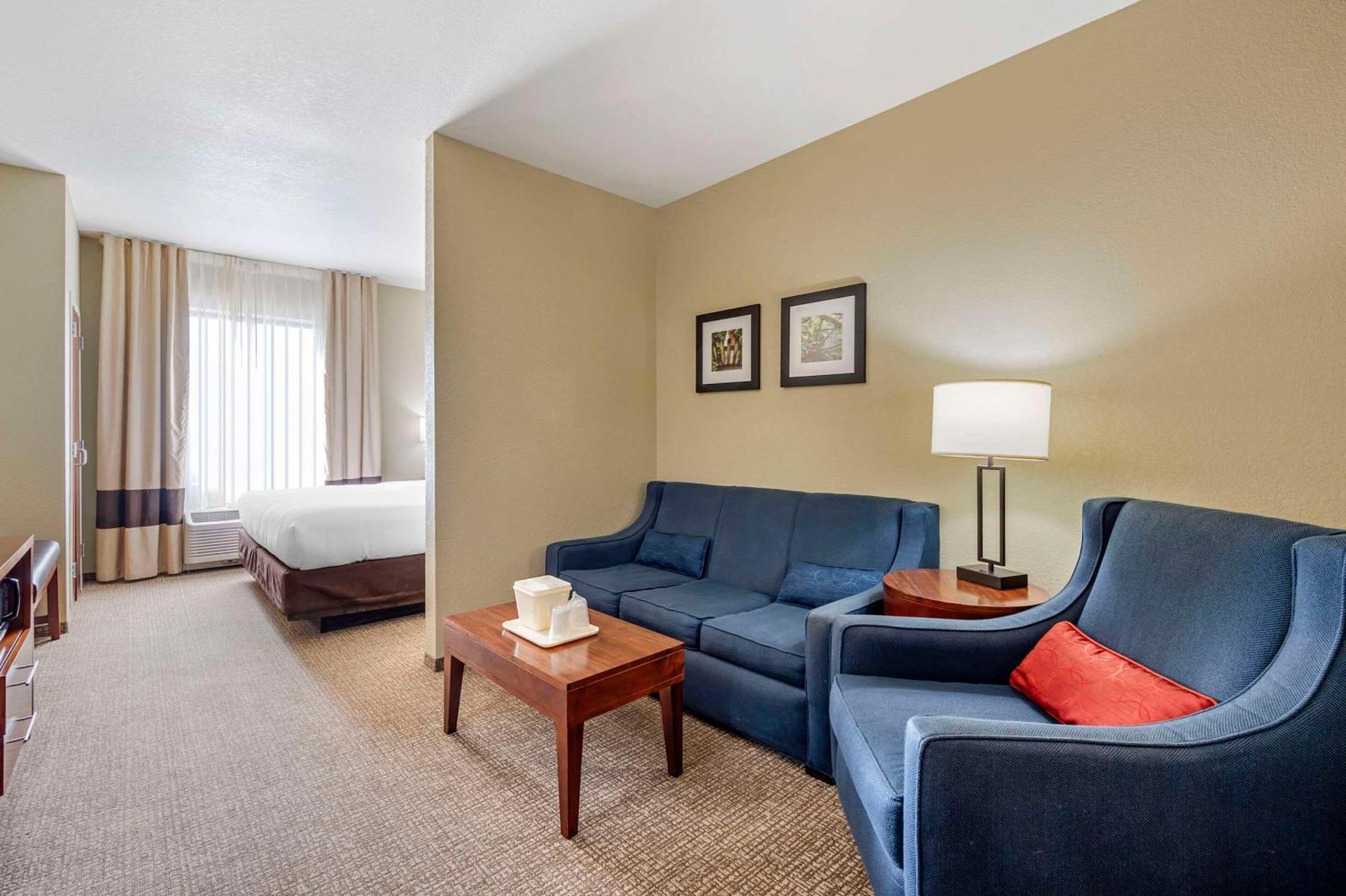 שאיין Comfort Inn & Suites מראה חיצוני תמונה